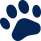 pet care services
