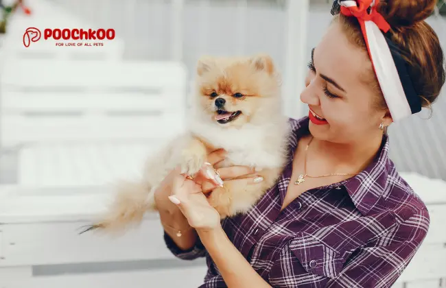 Top 10 grooming tip for dogs in Bangalore